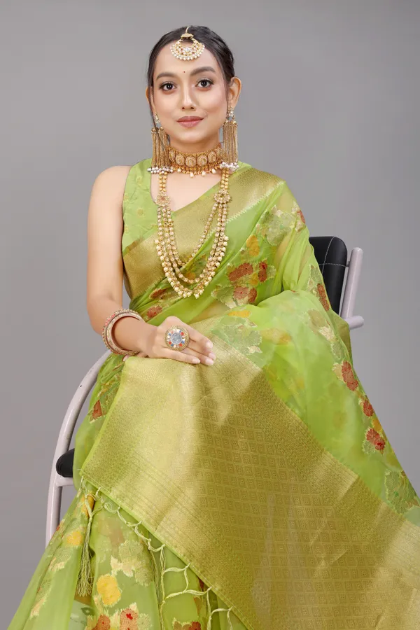 LIGHT_GREEN_WOVEN_WORK_ORGANZA_SAREE